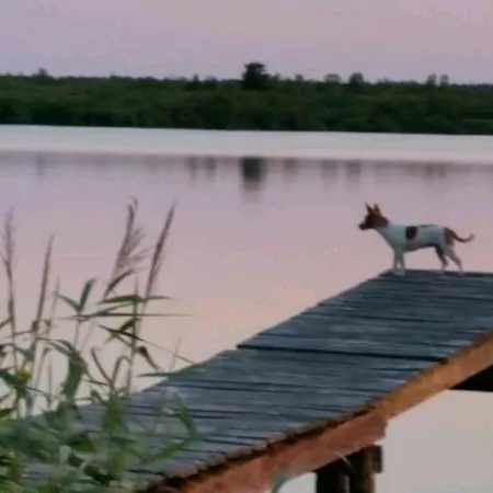 Neu! Ahlbeck - Stettiner Haff Διαμέρισμα