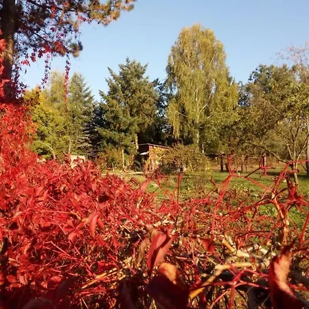 Neu! Ahlbeck - Stettiner Haff Ahlbeck (Vorpommern-Greifswald)