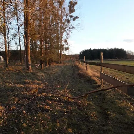 Neu! Ahlbeck - Stettiner Haff * Ahlbeck (Vorpommern-Greifswald)