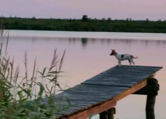 Neu! Ahlbeck - Stettiner Haff Lägenhet