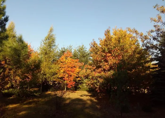Neu! Ahlbeck - Stettiner Haff Lägenhet