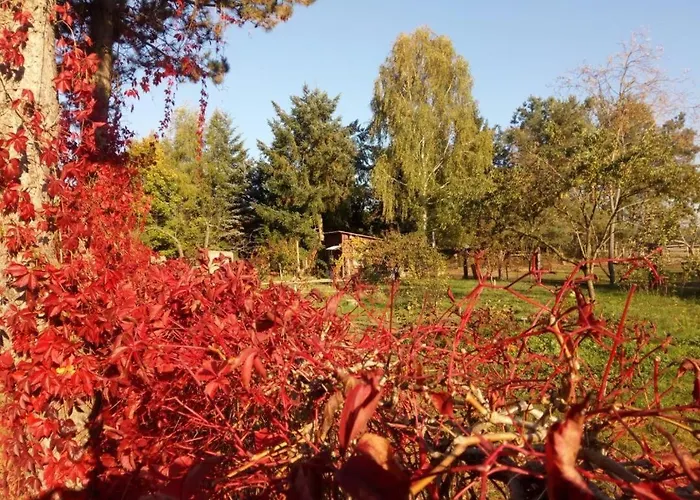 Neu! Ahlbeck - Stettiner Haff Ahlbeck (Vorpommern-Greifswald)